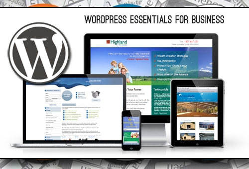 Wordpress Business